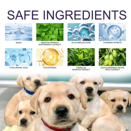 Yegbong Anti-Chewing Bitter Spray For Pets  Prevent Dogs Tearing Apart Homes Scratching And Biting Long-Lasting Indoor